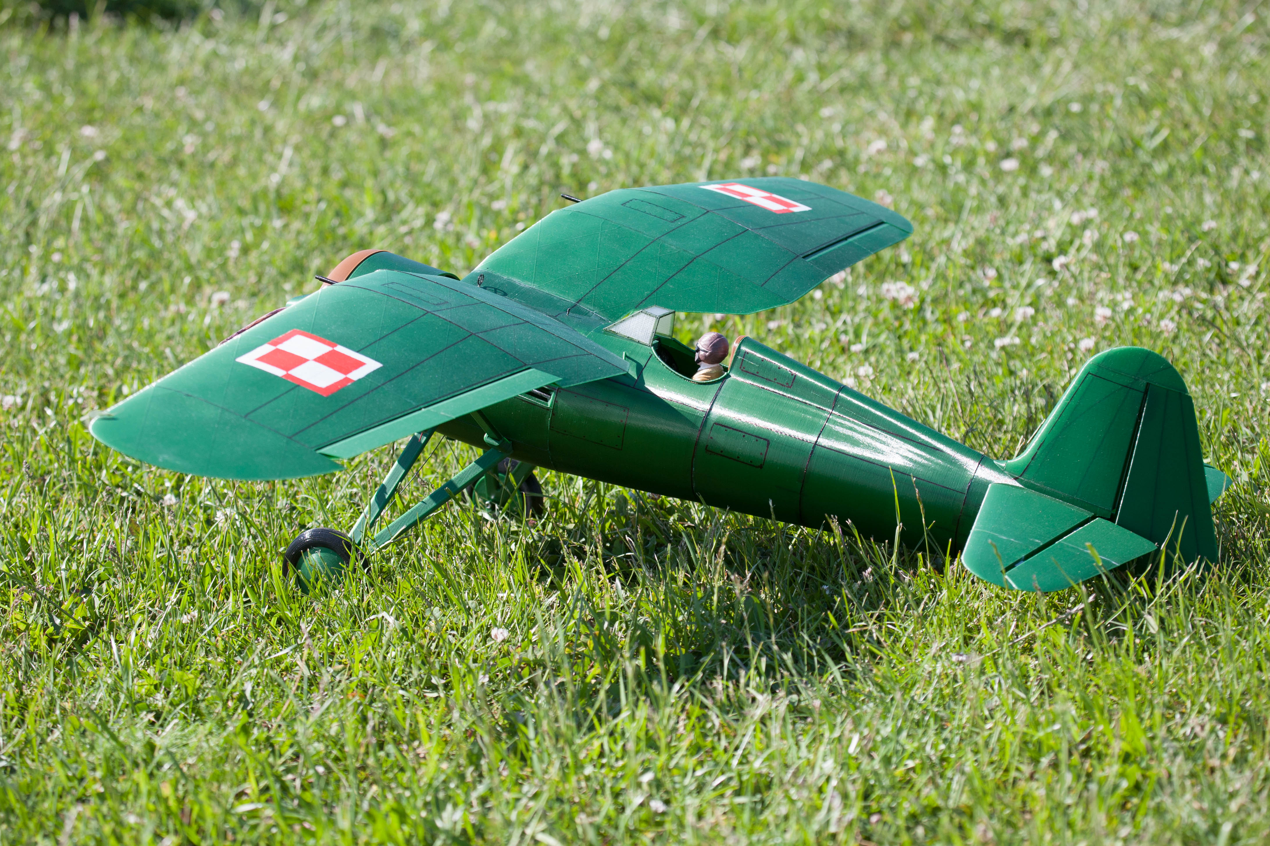 PZL P.11 3D Printed Airplane RC Model